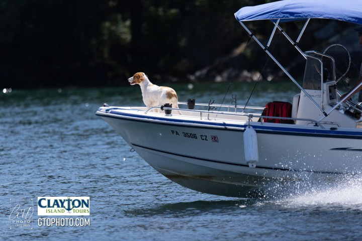 a small boat in the water