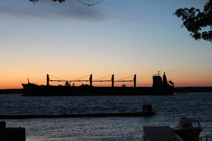 a bridge over a body of water