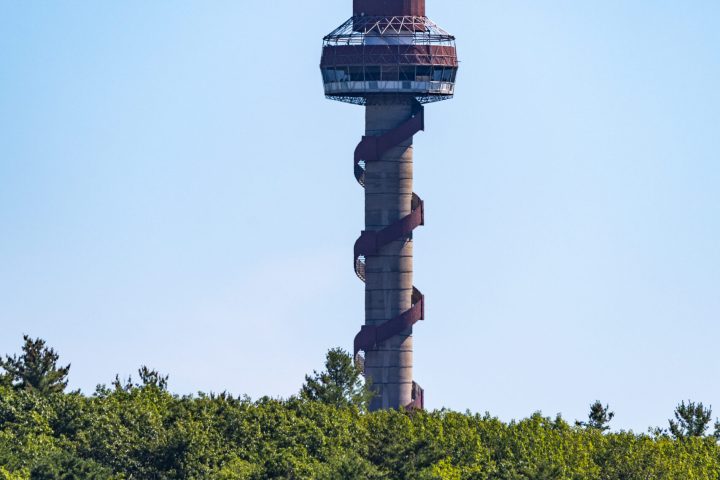 a large clock tower in the middle of a forest