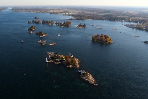 a flock of birds sitting on top of a body of water