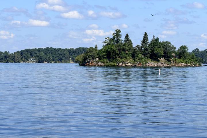 Small island with trees in a calm lake under a cloudy sky.