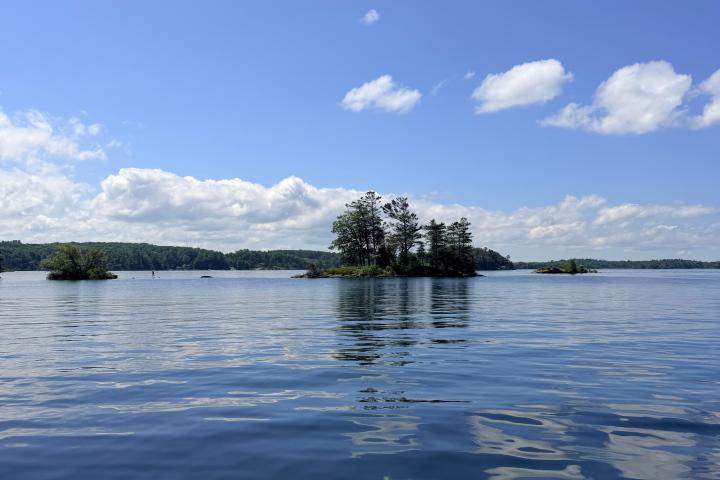 Small island with trees on a calm lake under a clear blue sky.