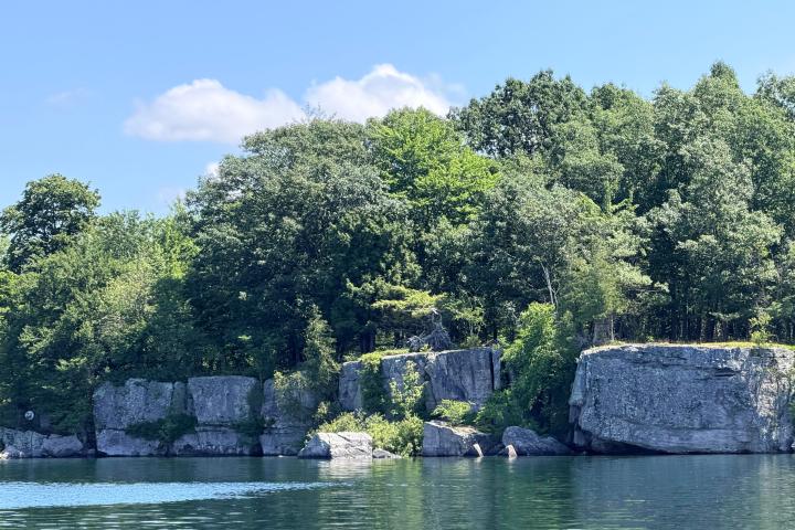 Rocky shoreline with trees by a calm lake under a clear sky.