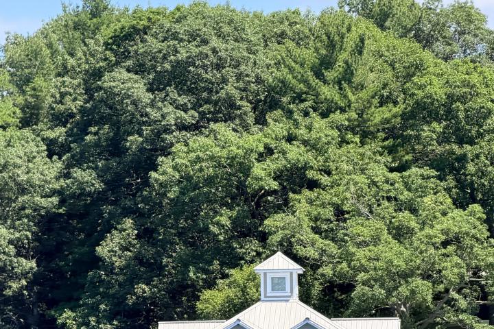 Boathouse with blue door on a lake, surrounded by lush trees under a clear sky.