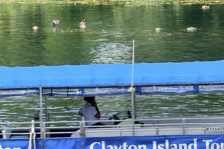 Boat with blue canopy and person on river surrounded by greenery.